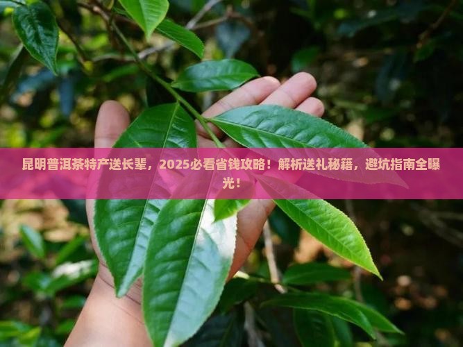 昆明普洱茶特产送长辈