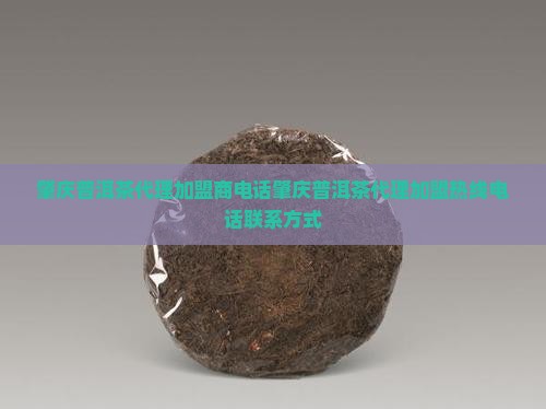 肇庆普洱茶代理加盟商电话