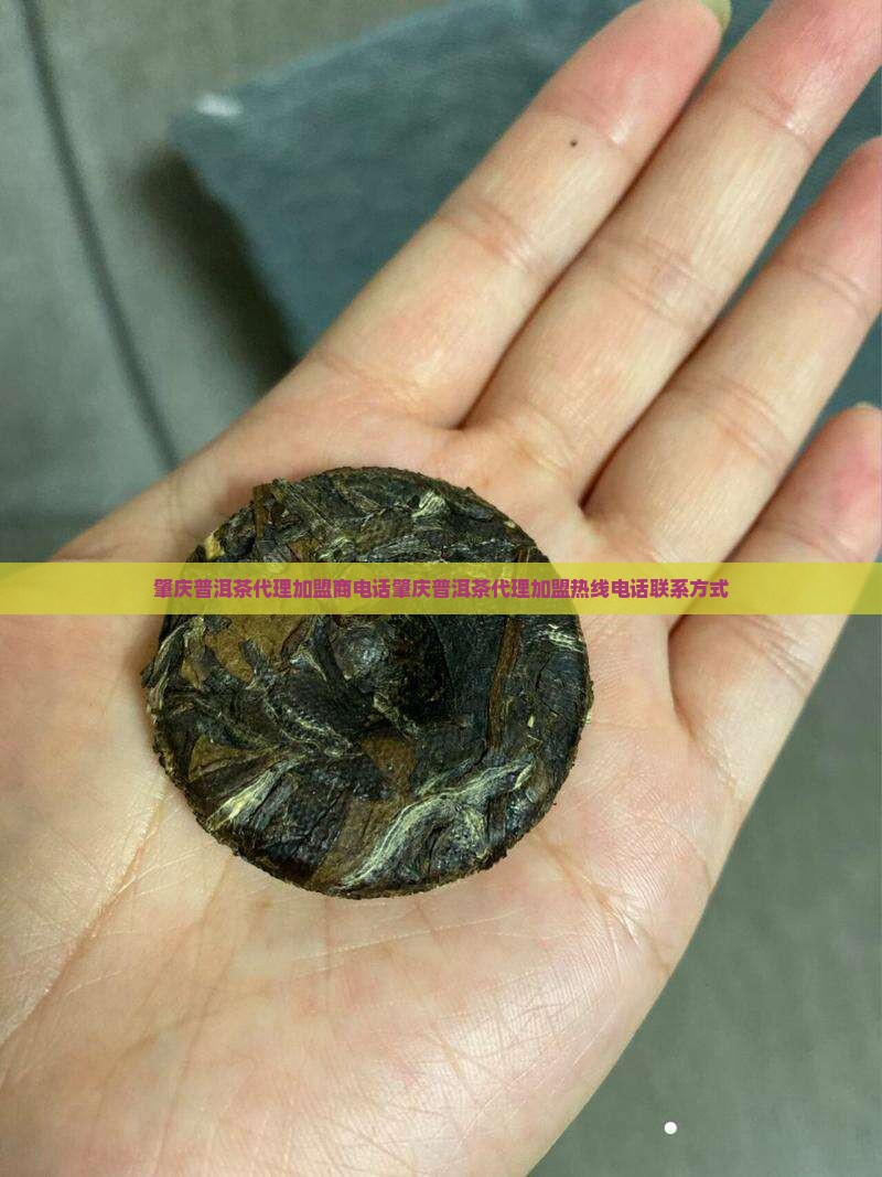 肇庆普洱茶代理加盟商电话