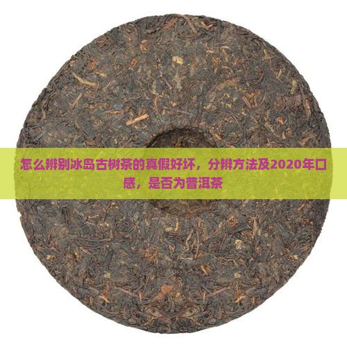 怎么辨别冰岛古树茶