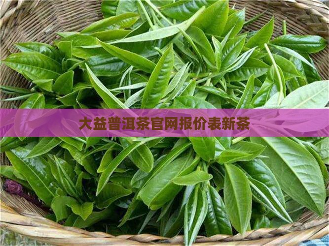 大益普洱茶官网报价表新茶