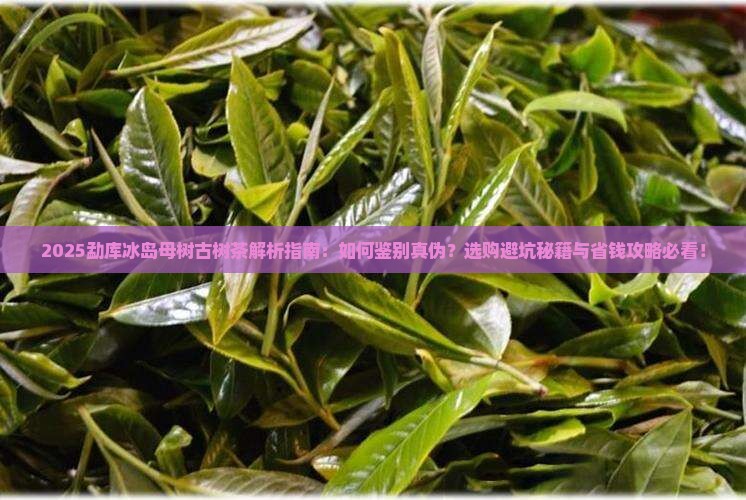 勐库冰岛母树古树茶
