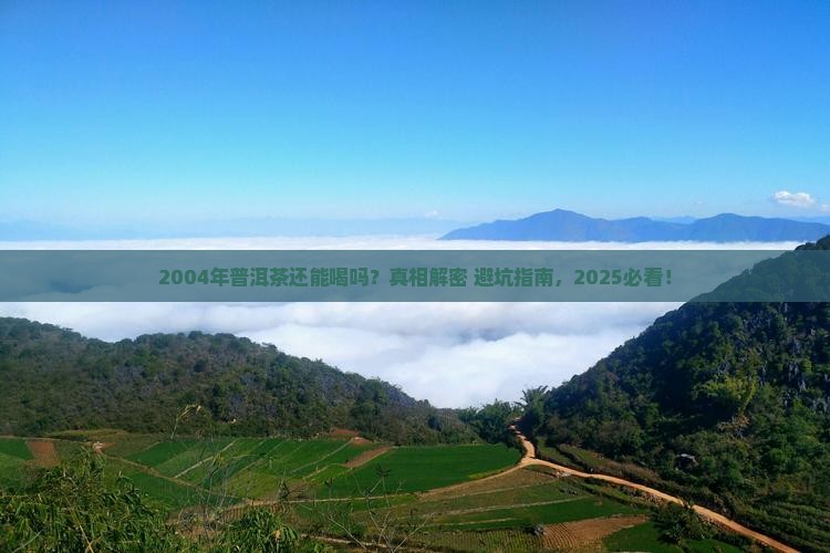 2004年普洱茶能喝吗