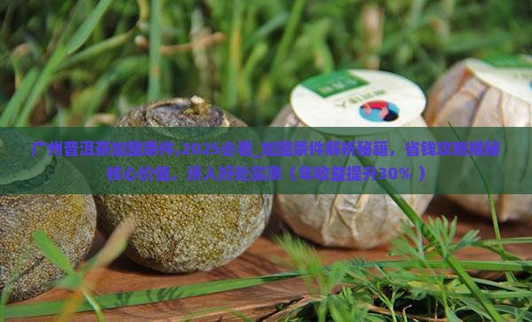 广州普洱茶加盟条件