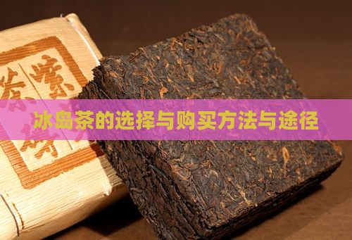 冰岛茶的选择与购买