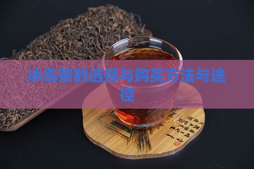 冰岛茶的选择与购买