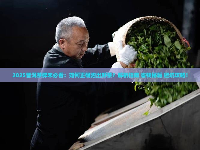 普洱茶那么碎怎么泡