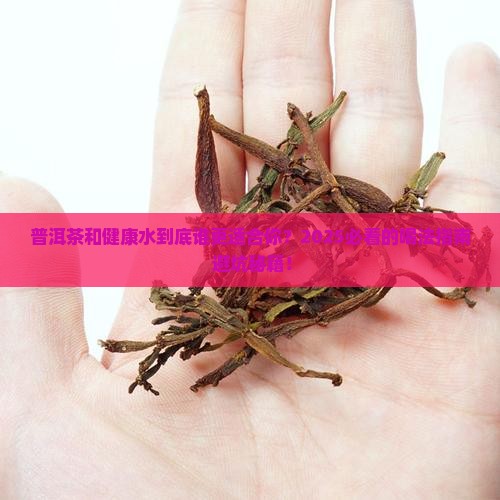 普洱茶与健康水适合什么人喝