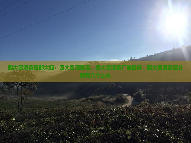 四大普洱茶是那大四