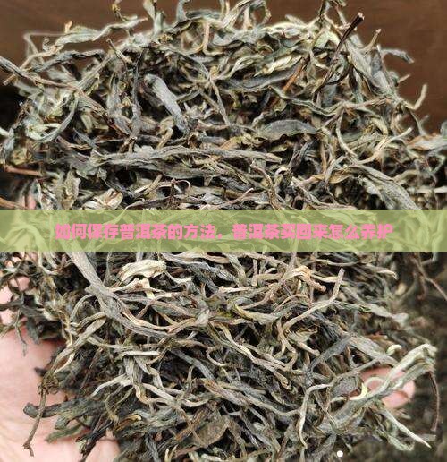 普洱茶买回来怎么养护