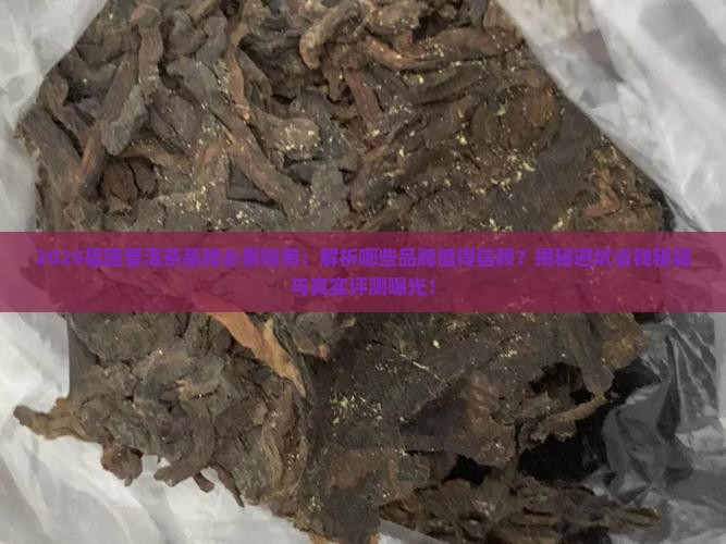 福建的普洱茶有哪些品牌