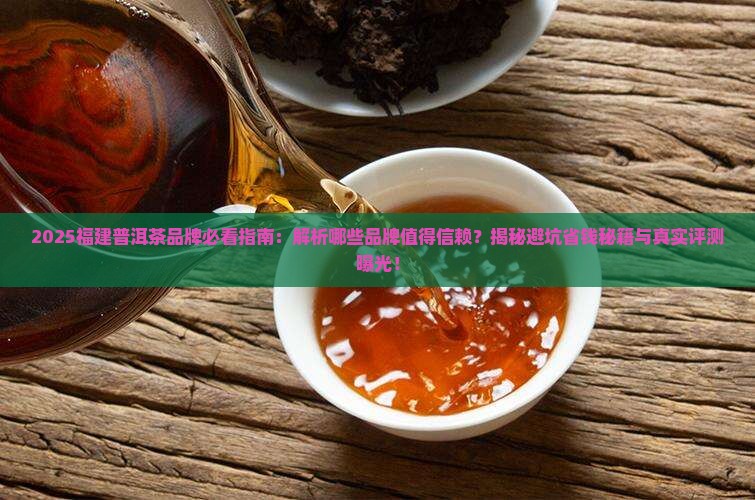 福建的普洱茶有哪些品牌