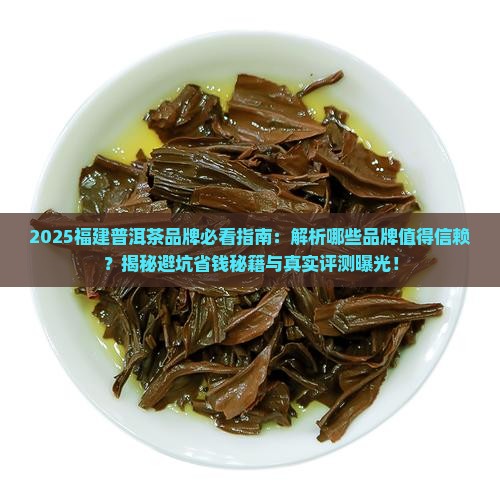 福建的普洱茶有哪些品牌