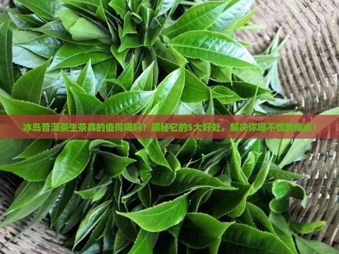 冰岛普洱茶生茶喝的好处