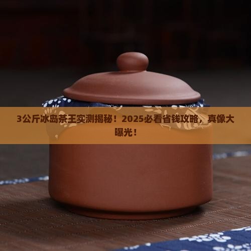 3公斤冰岛茶王