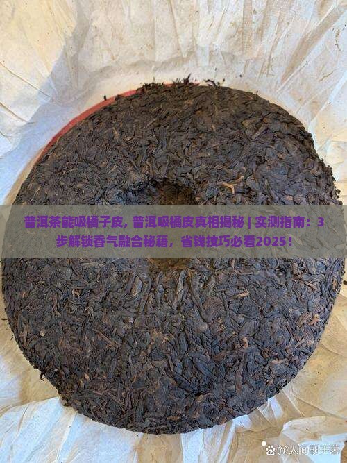 普洱茶能吸橘子皮