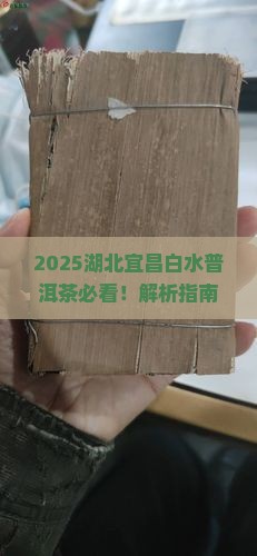 湖北宜昌白水普洱茶