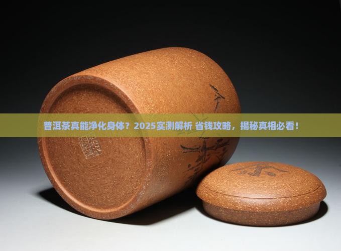 普洱茶能净化吗百度知道