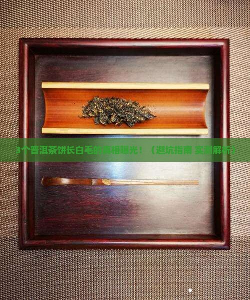 普洱茶饼上面长白毛了怎么回事
