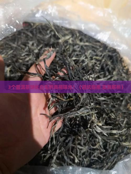 普洱茶饼上面长白毛了怎么回事