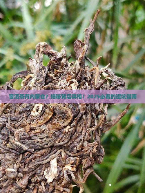 普洱茶有内蒙仓吗
