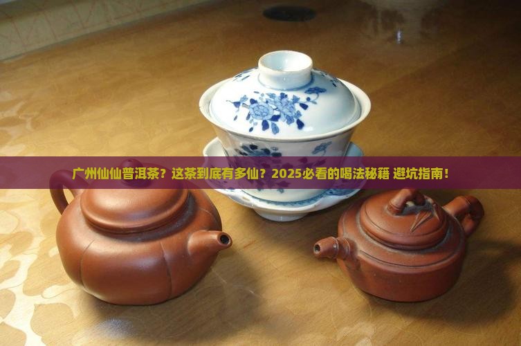 广州仙仙普洱茶