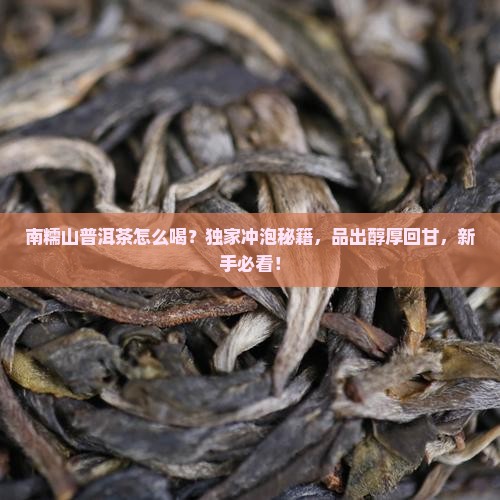 南糯山普洱茶怎么喝