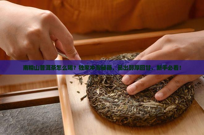 南糯山普洱茶怎么喝