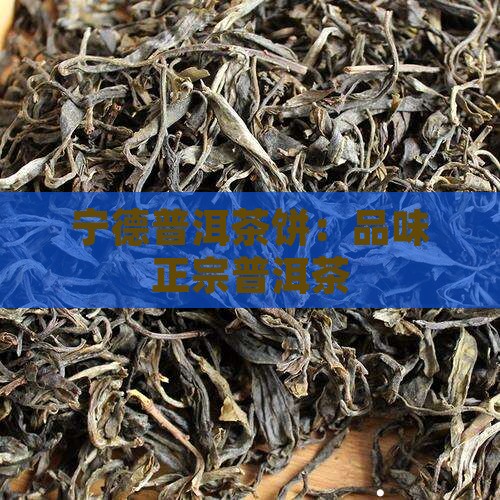 宁德品牌普洱茶饼