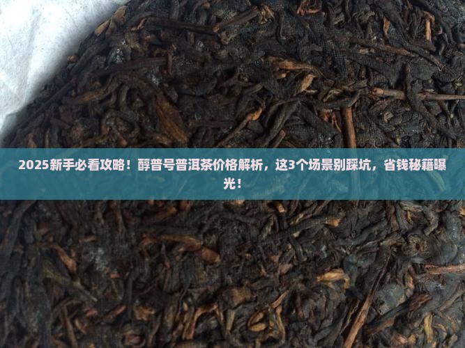 醇普号普洱茶价格