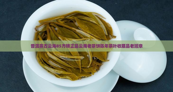 普洱茶古云海85方砖