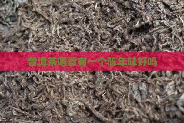 普洱茶喝着有一个陈年味好吗