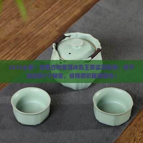 老寨古树普洱冰岛王茶