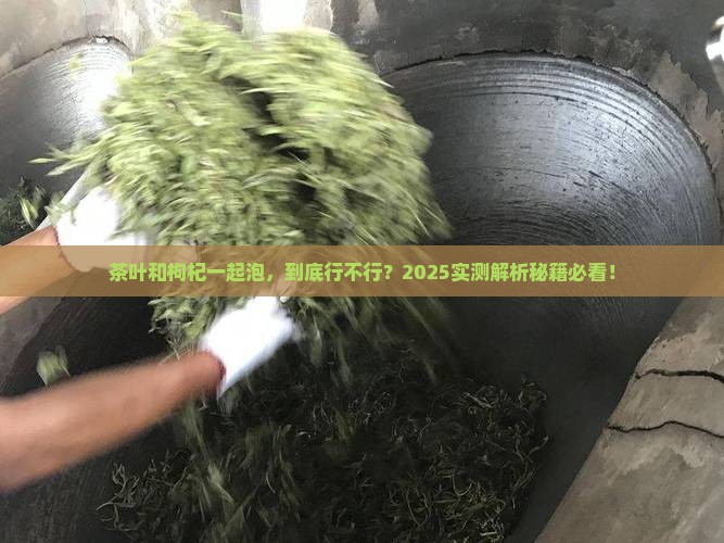 茶叶可以与枸杞一起泡吗