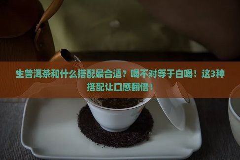 生普洱茶和什么搭配最合适