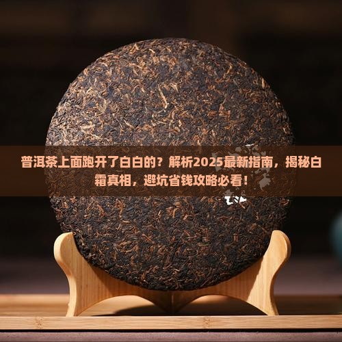 普洱茶上面跑开了白白的