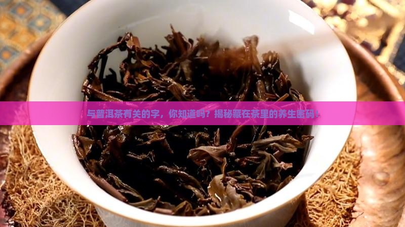 与普洱茶有关的字