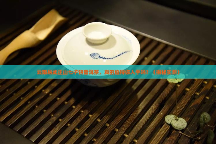 云南易武正山七子饼普洱茶