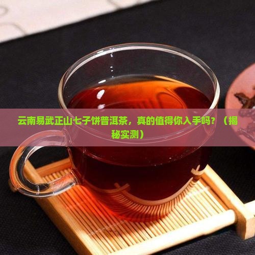 云南易武正山七子饼普洱茶