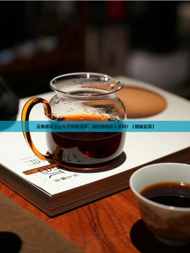 云南易武正山七子饼普洱茶