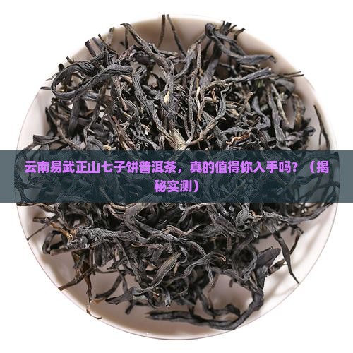 云南易武正山七子饼普洱茶