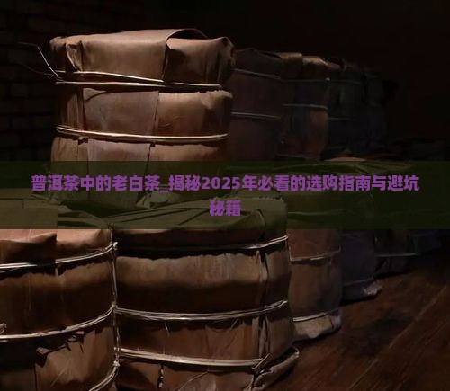 普洱茶中的老白茶