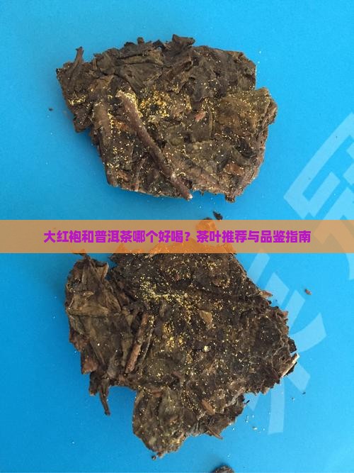 大红袍普洱茶好喝吗