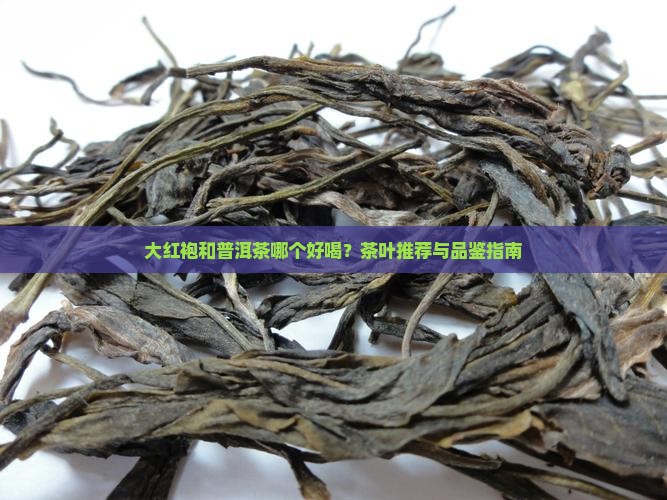 大红袍普洱茶好喝吗
