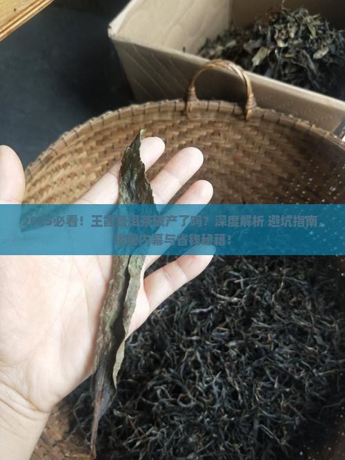 王霞普洱茶破产了吗