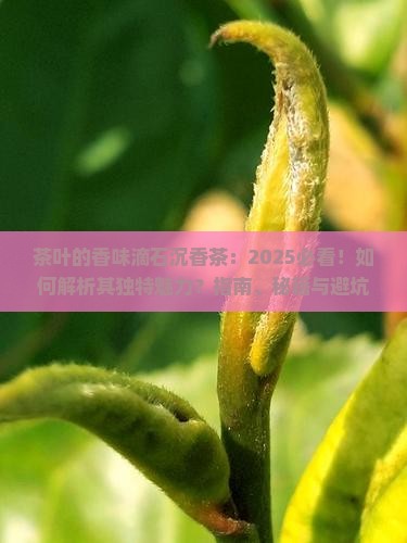 茶叶的香味滴石沉香茶