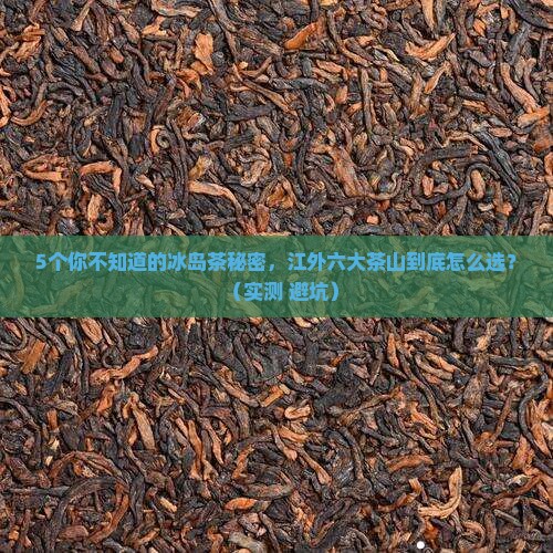 冰岛茶的口感江外六大茶山