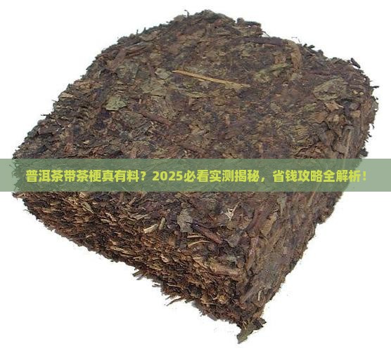 普洱茶带茶梗是真的吗