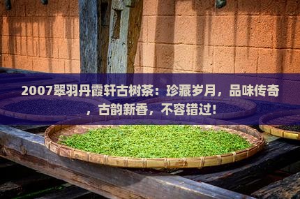 2007翠羽丹霞轩古树茶