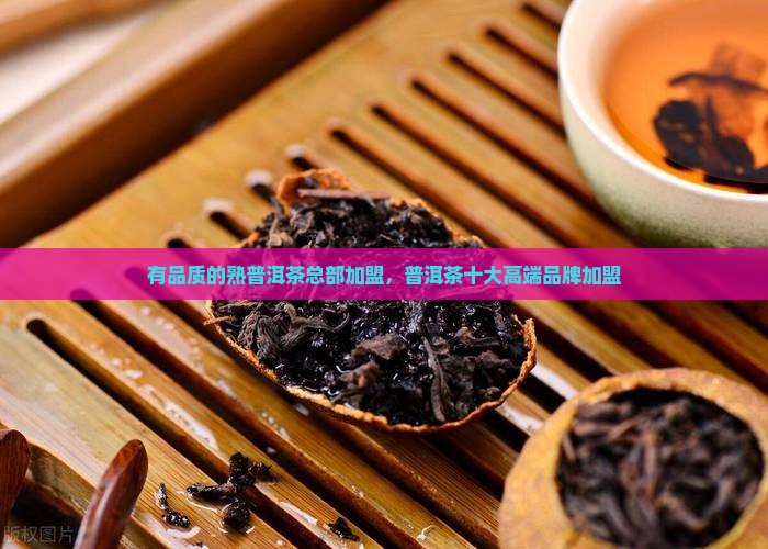 有品质的熟普洱茶总部加盟